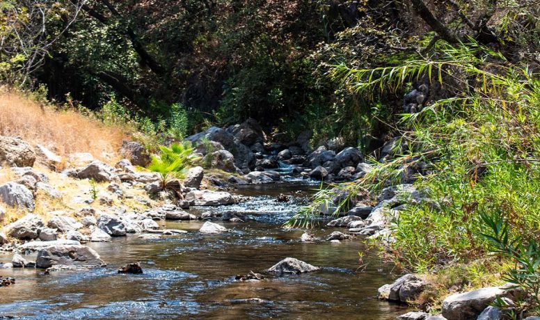 Río caliente de aguas termales cerca de Guadalajara