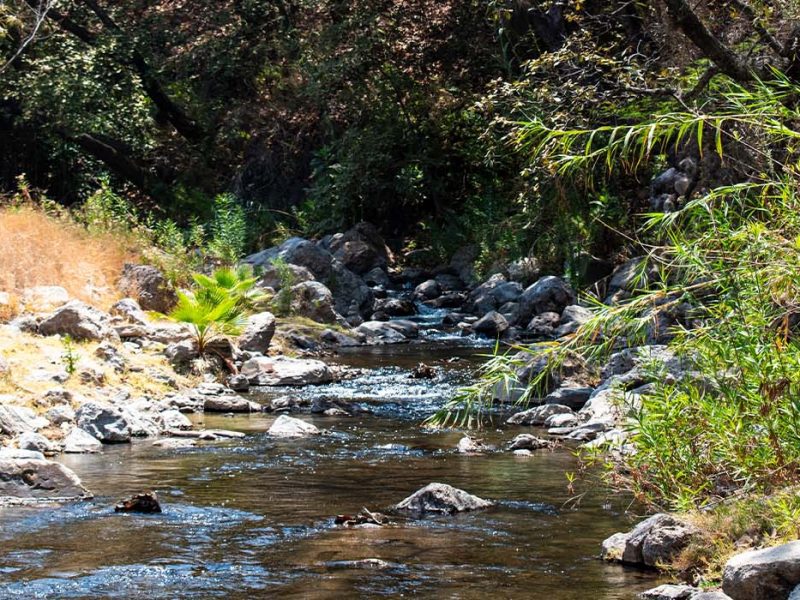 Río caliente de aguas termales cerca de Guadalajara