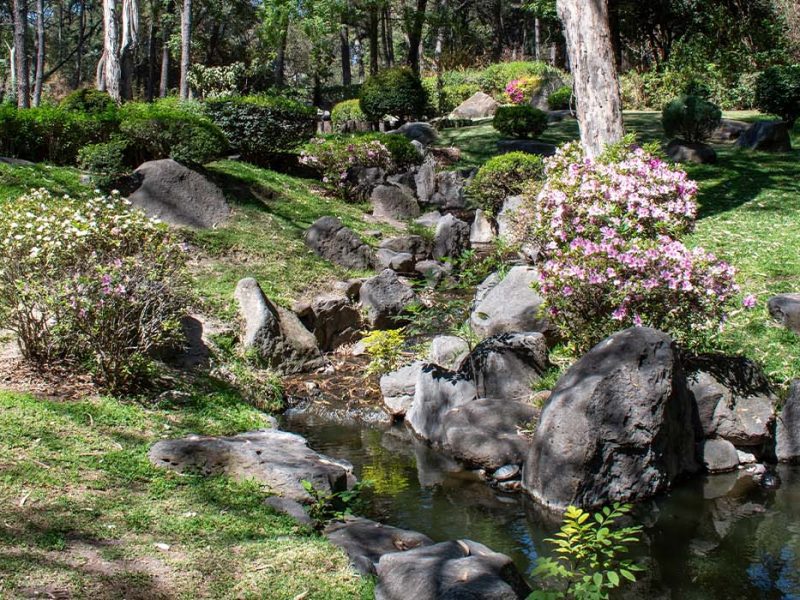 jardin japonés en Parque Colomos en Guadalajara